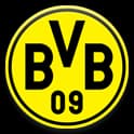 Borussia Dortmund crest